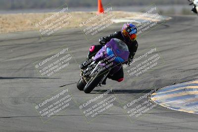 media/Mar-13-2022-SoCal Trackdays (Sun) [[112cf61d7e]]/Turns 9 and 8 (1020am)/